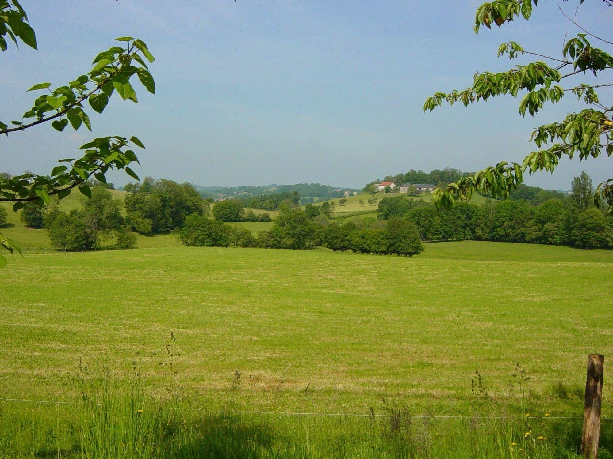 Domaine De La Clauzade Bed and Breakfast Saint-Germain-les-Vergnes Eksteriør billede